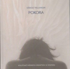 Pokora